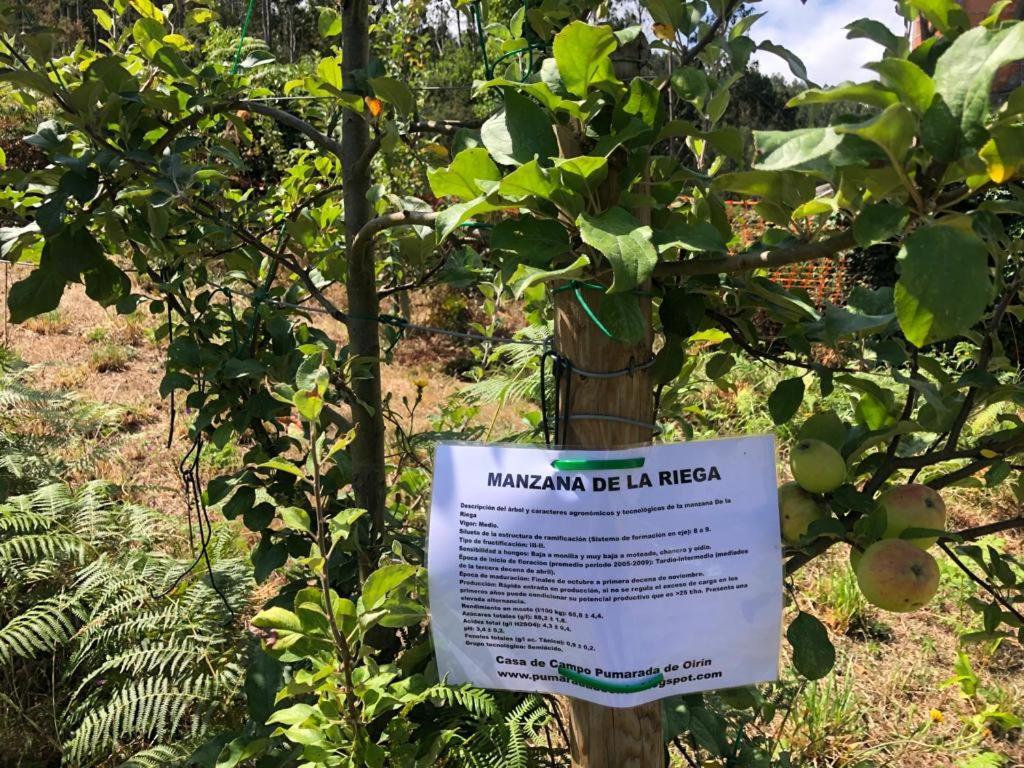 Casa De Campo Pumarada De Oirin فوز المظهر الخارجي الصورة