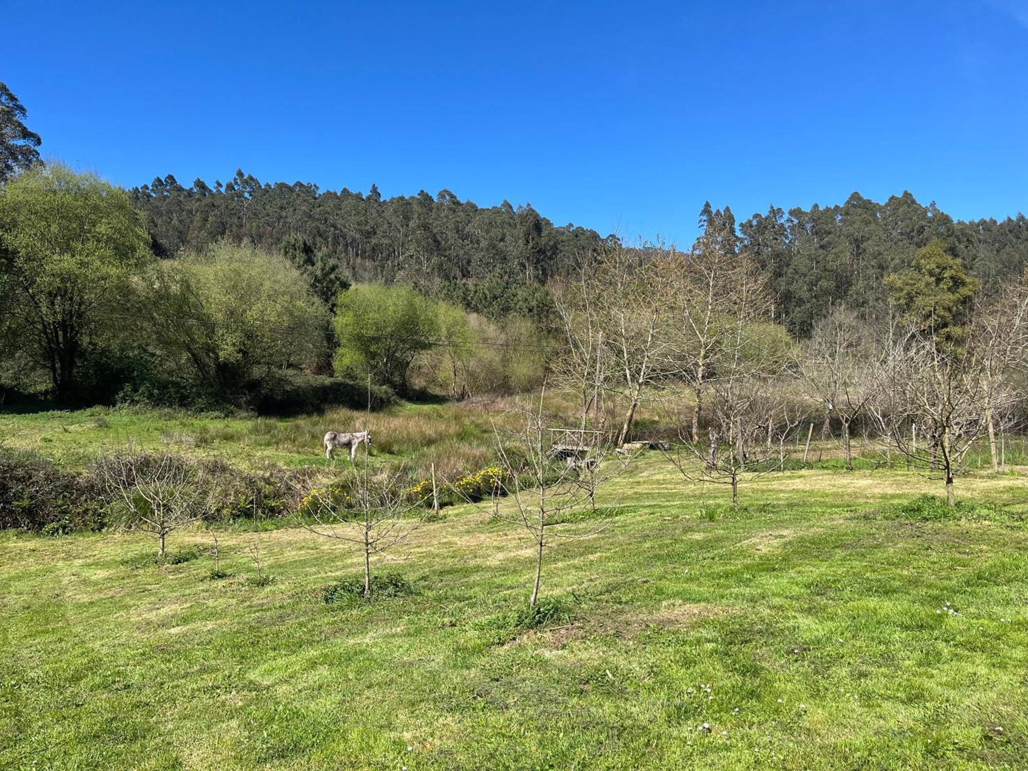 Casa De Campo Pumarada De Oirin فوز المظهر الخارجي الصورة
